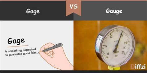 gauge verb .